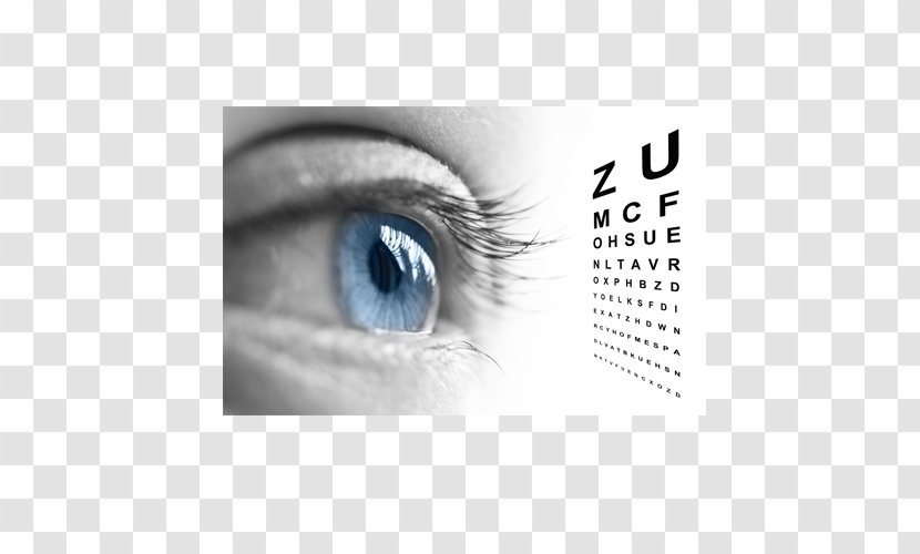 Eye Examination Optometry Visual Perception Care Professional - Flower - Looking To The Future Transparent PNG