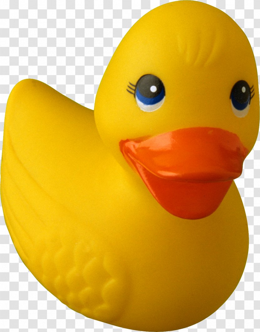 Rubber Ducky - Stock Photography - Free Duck Debugging Clip ArtDuck Transparent PNG