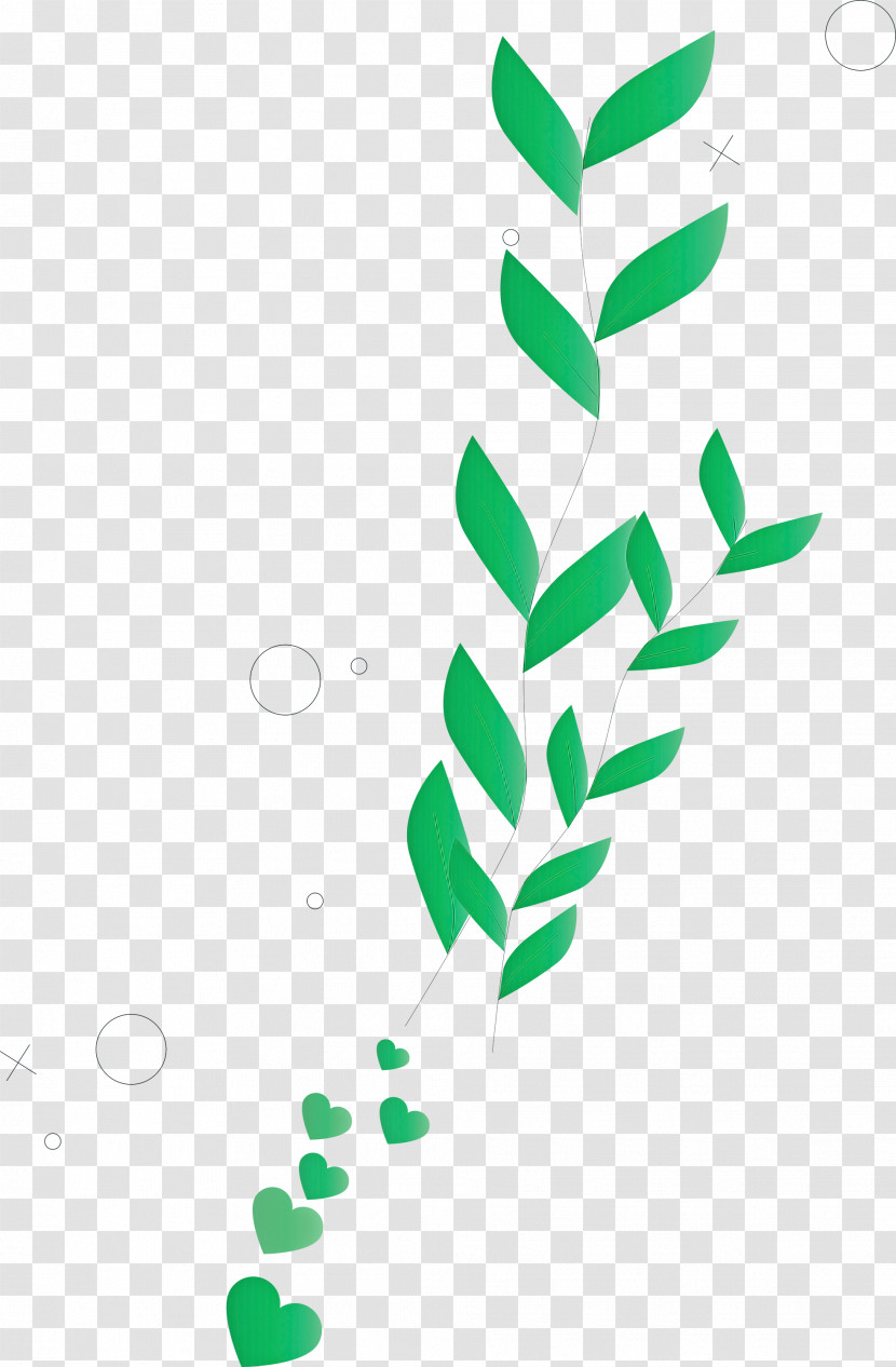 Leaf Plant Stem Logo Color Flower Transparent PNG