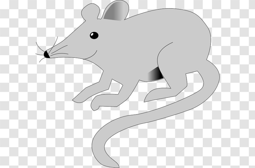 Mouse Rodent Brown Rat Laboratory Animal - Mammal Transparent PNG