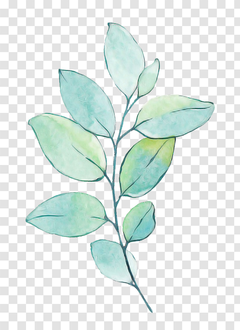 Plant Stem Leaf Turquoise Plants Science Transparent PNG