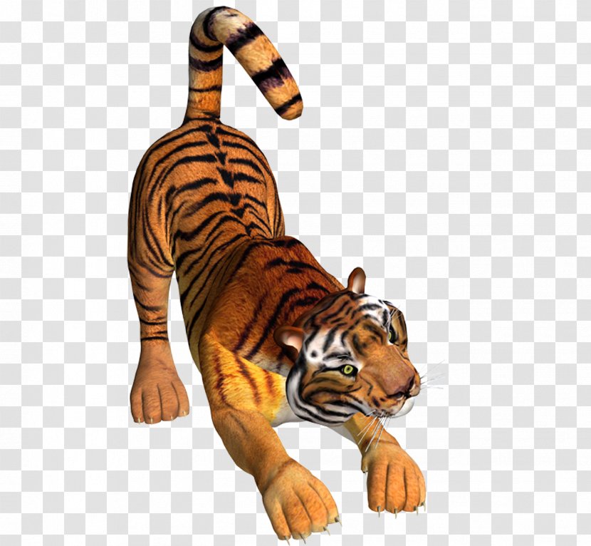 Tiger Drawing Icon - Carnivoran - Picture Material Transparent PNG