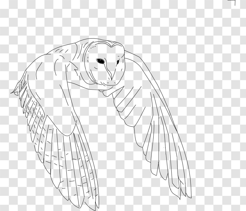 Bird Drawing Owl Line Art - Heart - Flying Transparent PNG