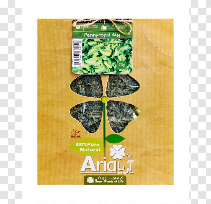 Aloysia Citrodora Herb Pennyroyal Leaf Tea - Petal Transparent PNG