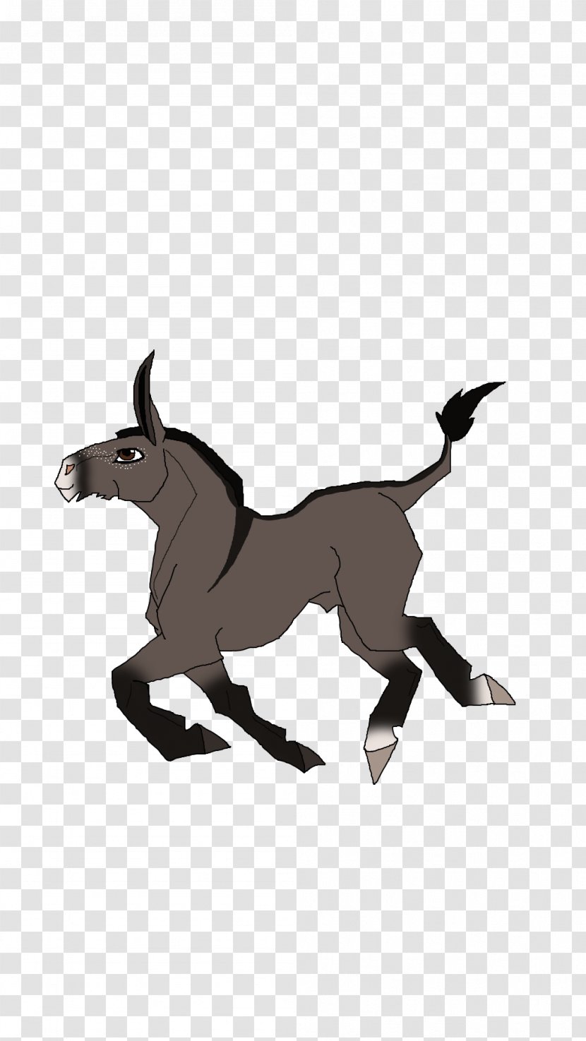 Mule Foal Stallion Donkey Mustang - Silhouette Transparent PNG