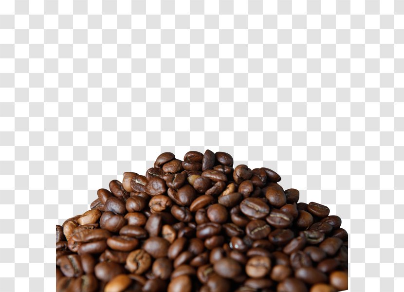 Jamaican Blue Mountain Coffee Kona Arabica Cafe - Aeropress - Free Creative Pull A Bunch Of Beans Transparent PNG