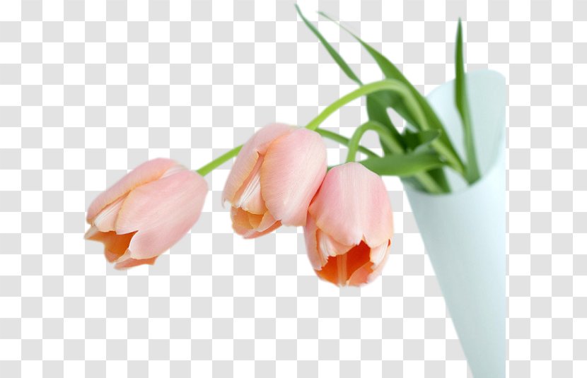 Flower Desktop Wallpaper UXGA Birthday - A Variety Of Floral Patterns Transparent PNG