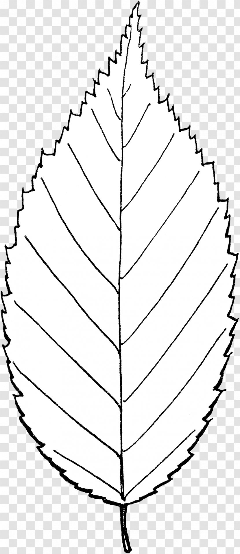 Angle Point Symmetry Leaf Pattern - Speckle Banner Transparent PNG