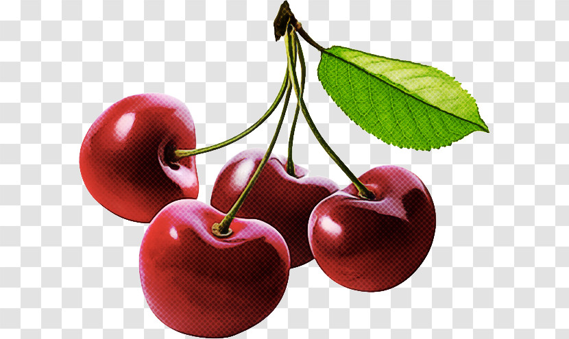 Cherry Fruit Plant European Plum Food Transparent PNG