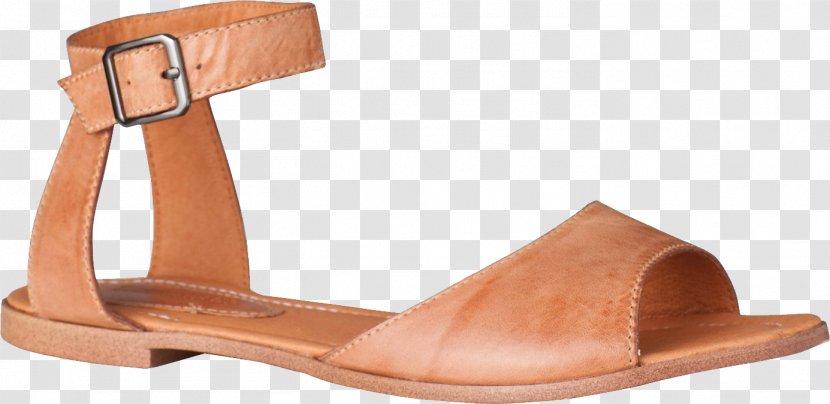 Sandal Slipper T-shirt Shoe - Footwear - Sandals Image Transparent PNG