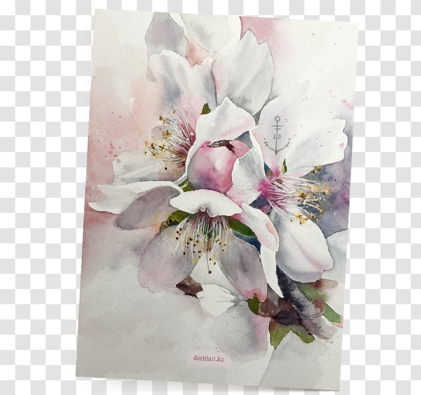 Watercolor Painting Spring Almond Blossoms Floral Design - Ansichtkaart - Chestnut Card Transparent PNG