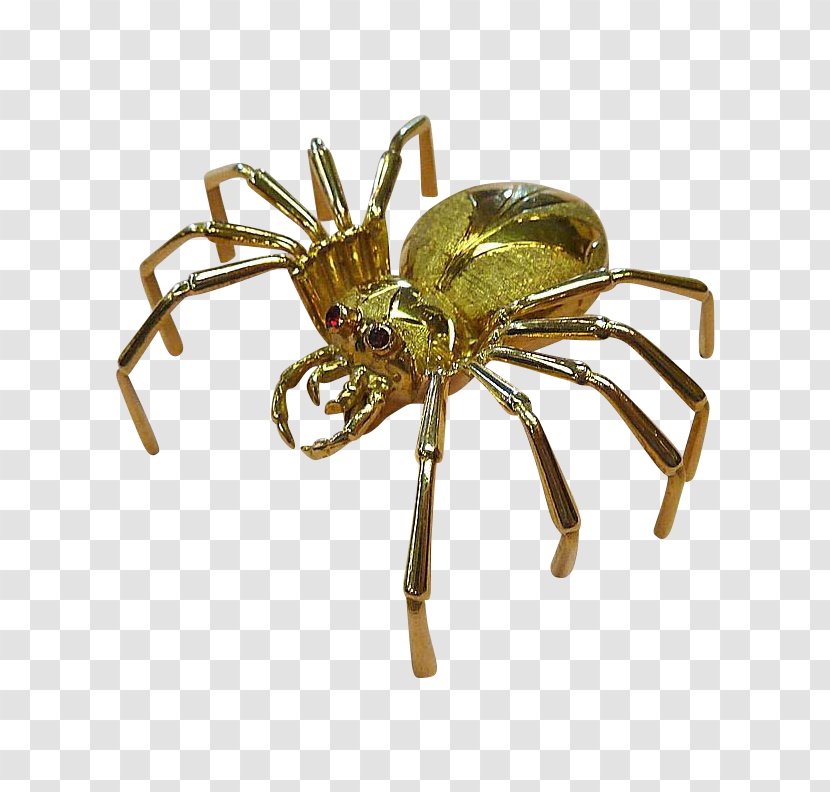 Brooch Tie Pin Angulate Orbweavers Gold Spider - Pest - Image Transparent PNG