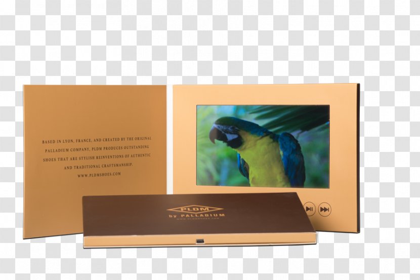 Video Brochure Advertising Pamphlet - Content - Emotional Branding Transparent PNG