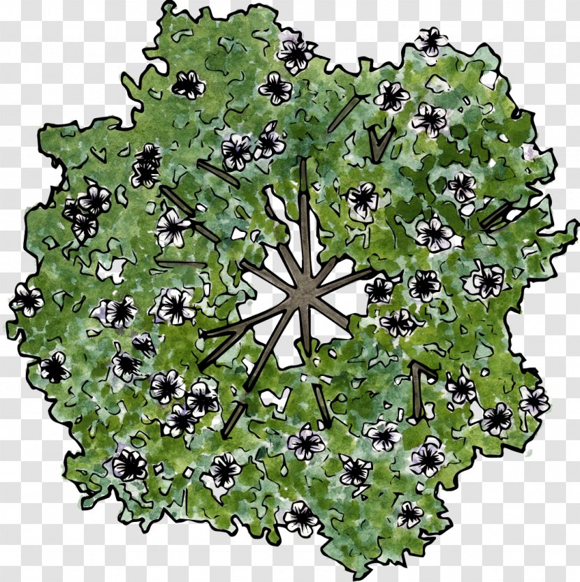 The Flowers On Trees - Tree - Plant Transparent PNG