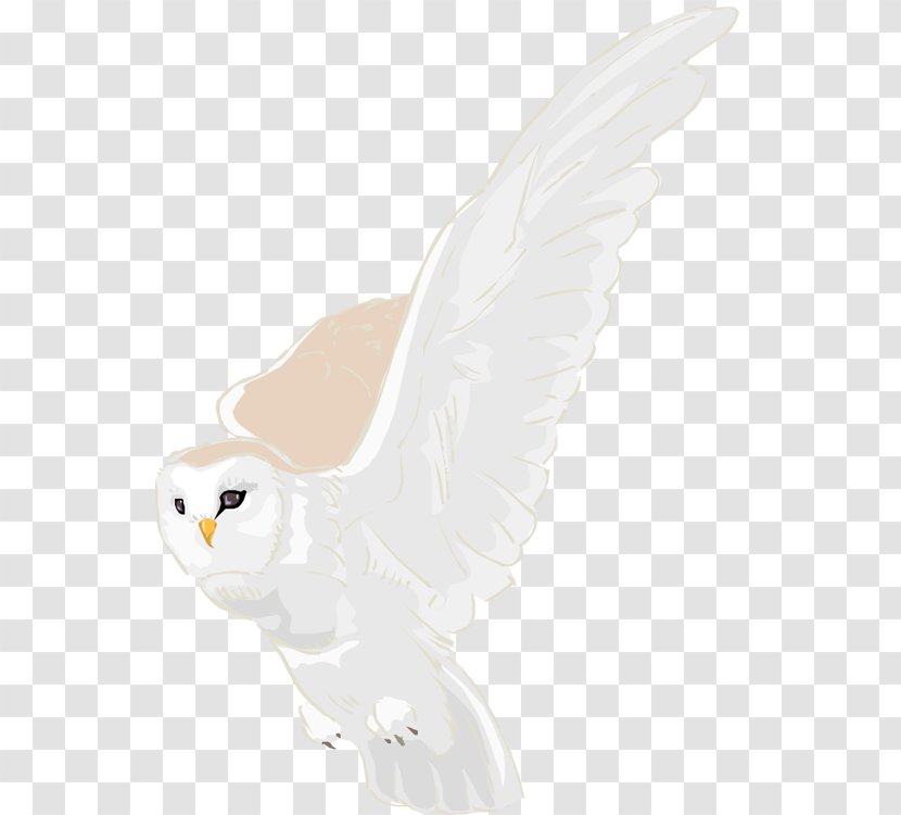 Owl Feather Beak Figurine Tail - Harry-potter Castle Transparent PNG