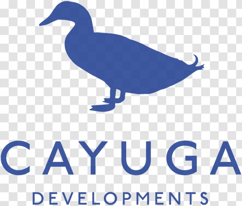Duck Logo Fauna Beak Brand Transparent PNG