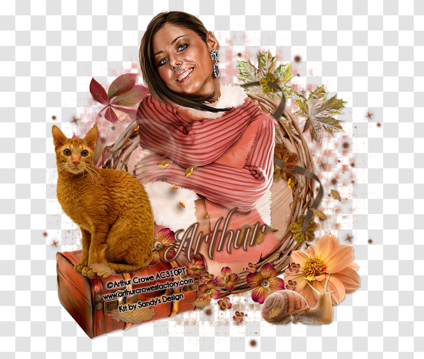 Kitten Whiskers - Autumn Discount Transparent PNG