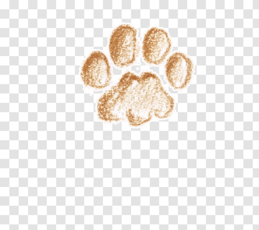 Cat Paw Animal La Salamandre School Transparent PNG