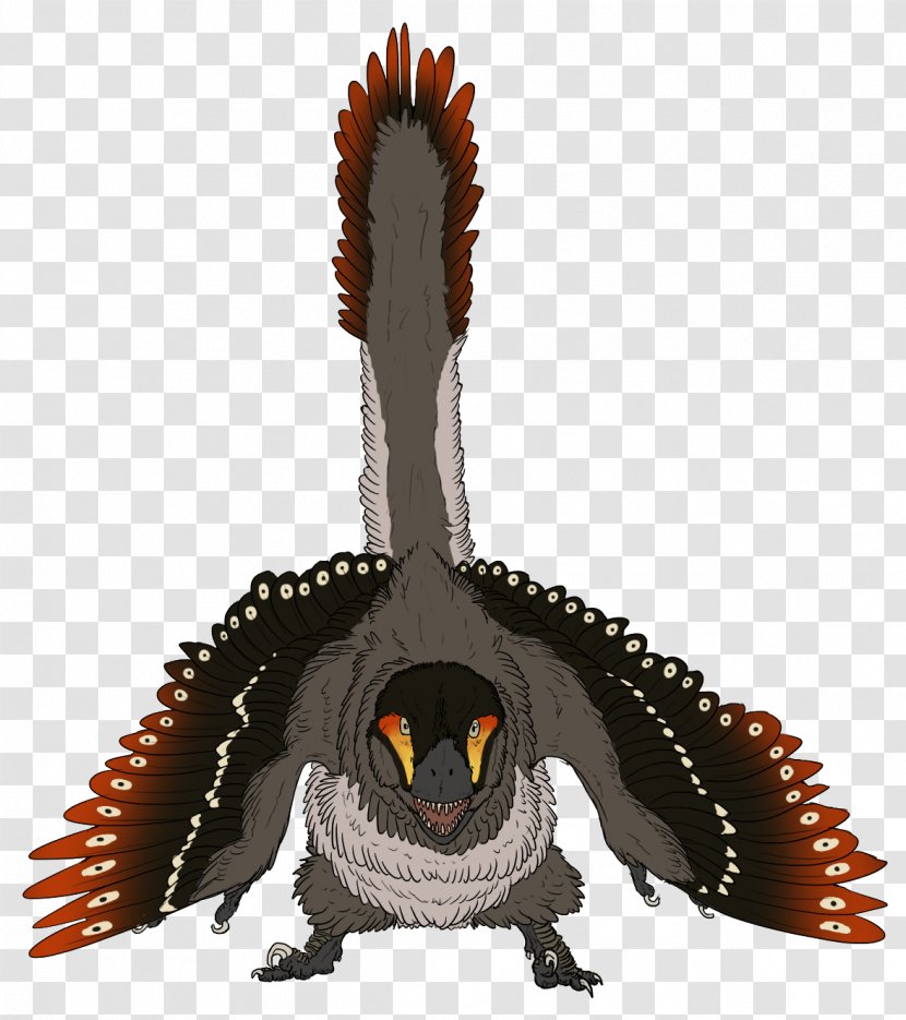 Velociraptor Buitreraptor Dinosaur Owl Beak - Muscle Transparent PNG