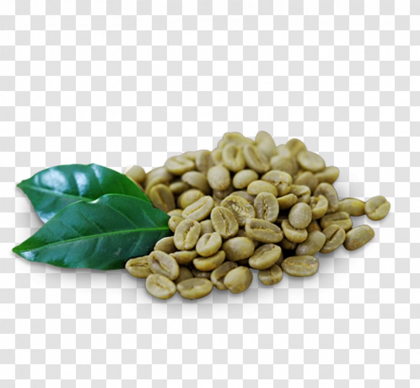 Green Coffee Extract Tea - Bean - Local Slimming Transparent PNG