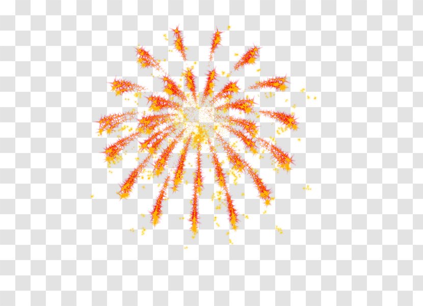 Fireworks Clip Art - Sky Transparent PNG