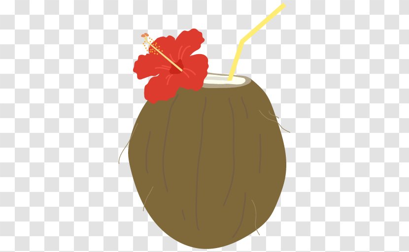 Coconut Water Fruit Drink Illustration - Plant - Accessory Business Transparent PNG