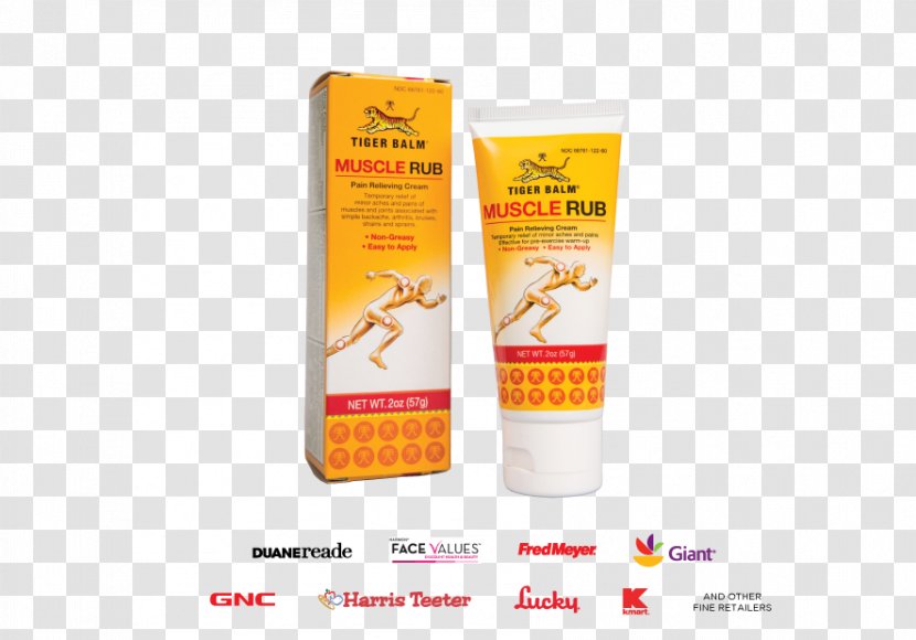 Sunscreen Lotion Tiger Pain In Spine Cream - Muscle - Muscular System Transparent PNG