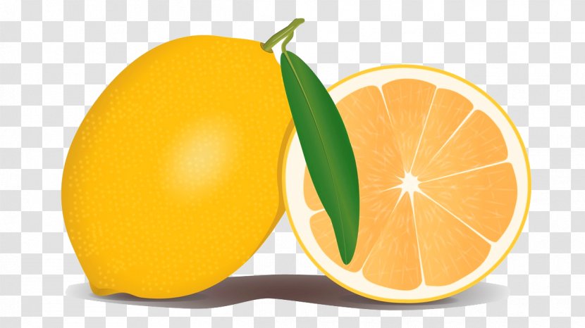 Sweet Lemon Rangpur Fruit Clip Art - Valencia Orange - FIG Painted Yellow Transparent PNG