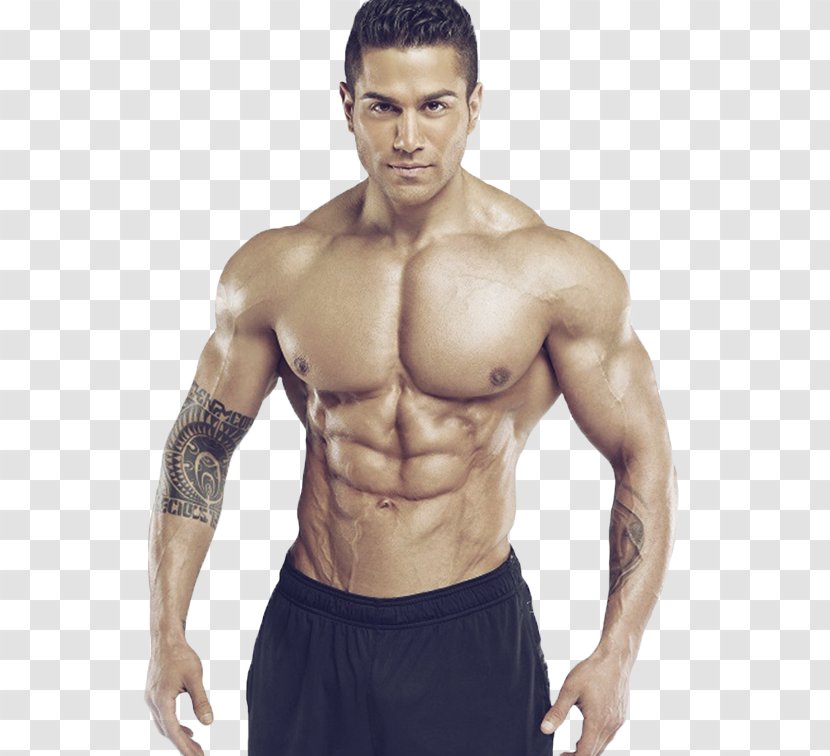 Bodybuilding Physical Fitness Arm Biceps Curl Shoulder - Watercolor - Athlete Transparent PNG