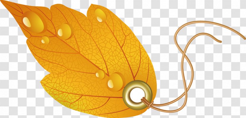 Leaf Autumn - Insect - Figure Transparent PNG