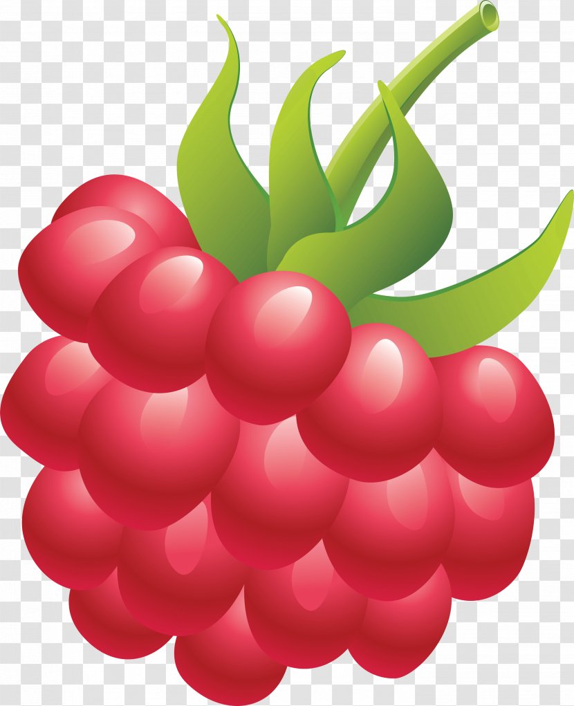 Raspberry Clip Art - Natural Foods - Rraspberry Image Transparent PNG