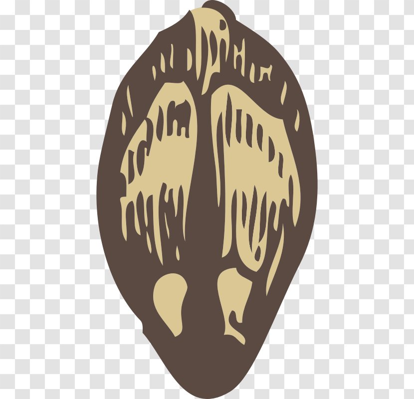 Seed Clip Art - Logo Transparent PNG