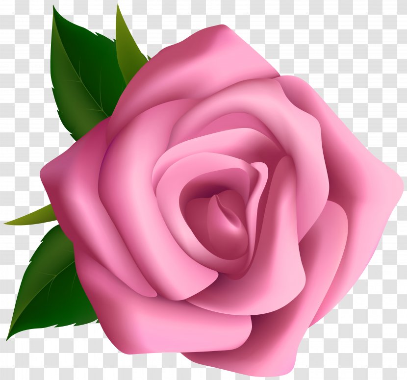 Rose Pink Flower Clip Art - Family - Soft Clipart Image Transparent PNG