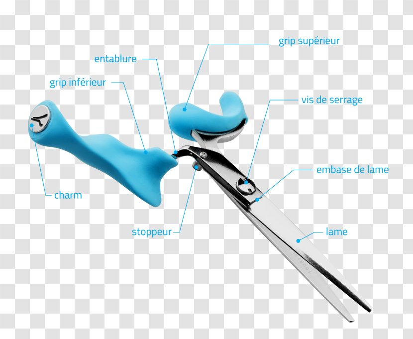 Scissors Hair-cutting Shears Chisel Cosmetologist Comb - Faq Transparent PNG