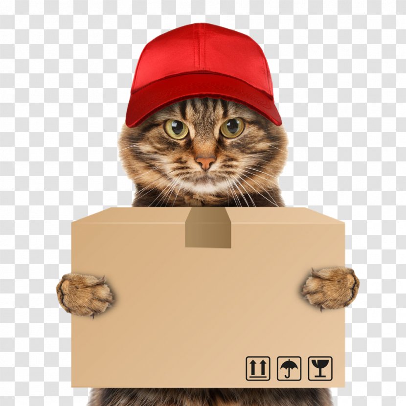 Dog Mover Pet Delivery Information - Small To Medium Sized Cats - Cat Transparent PNG