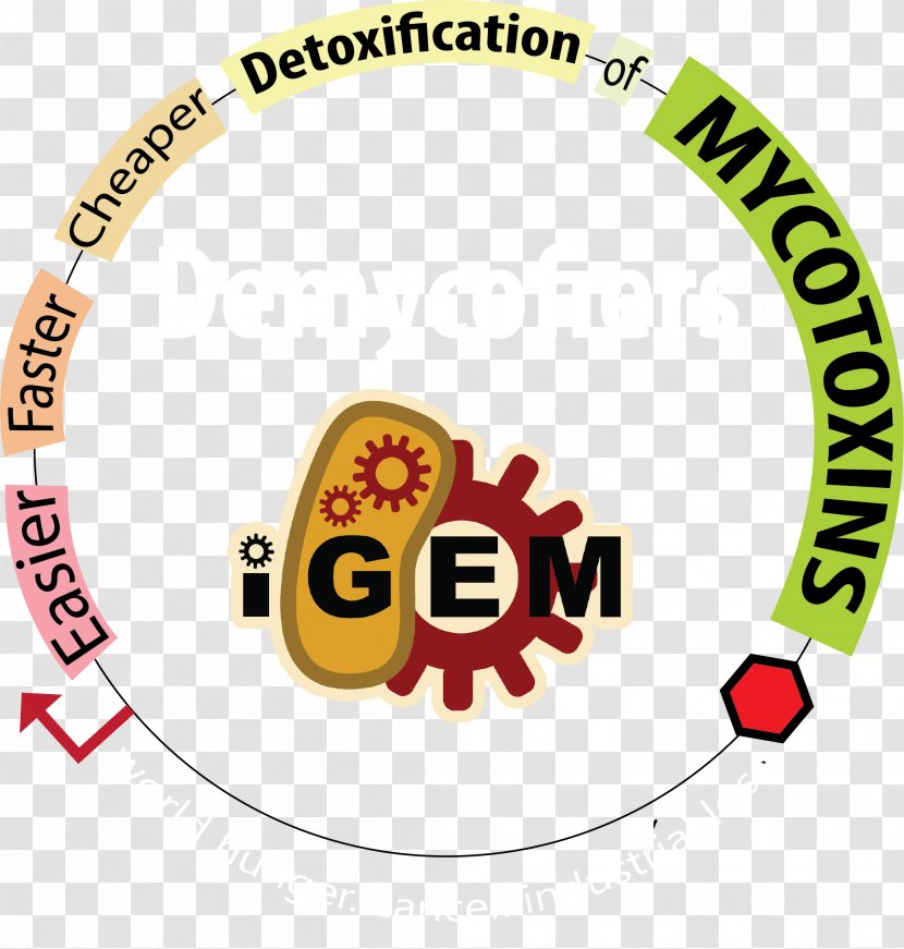 International Genetically Engineered Machine Brand Clip Art Logo Product - Genetic Engineering - Modified Crops Problems Transparent PNG