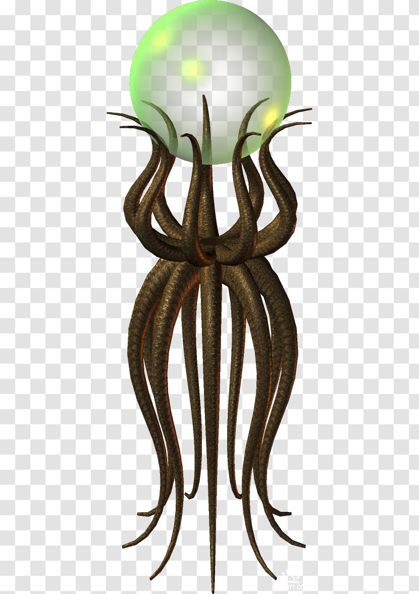 Octopus Invertebrate Organism Flower Transparent PNG