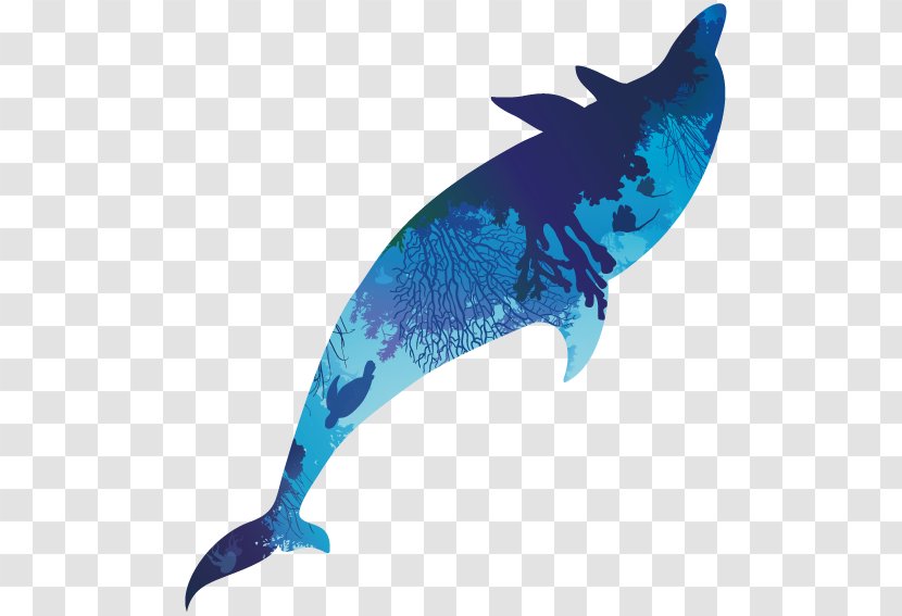 Dolphin Cobalt Blue Marine Biology Turquoise - Tail - Whale Body Building Transparent PNG