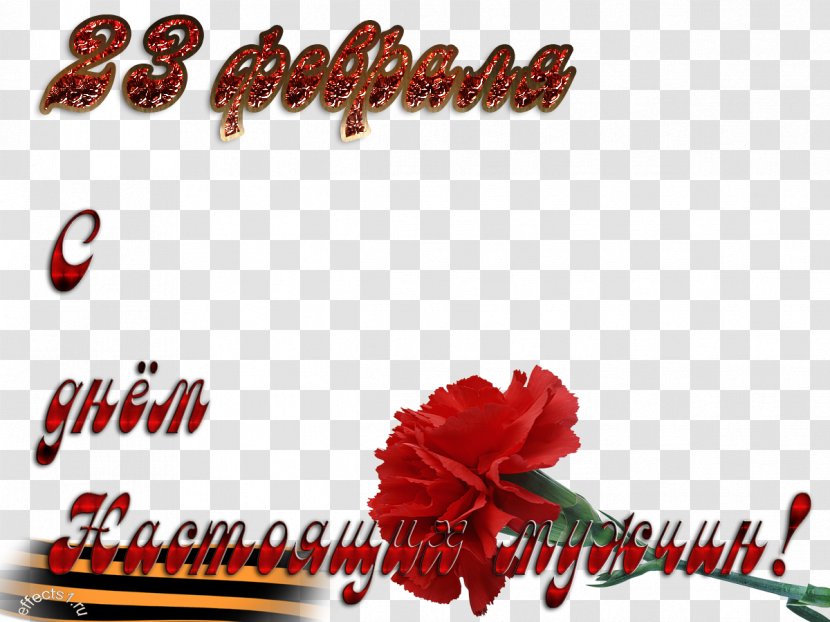 Defender Of The Fatherland Day Greeting & Note Cards 23 February Holiday Ansichtkaart - Text - Petal Transparent PNG