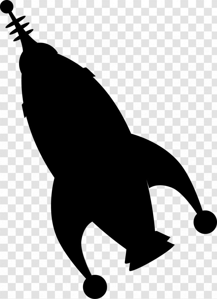 Whiskers Cat Sea Lion Dog - Wildlife Transparent PNG