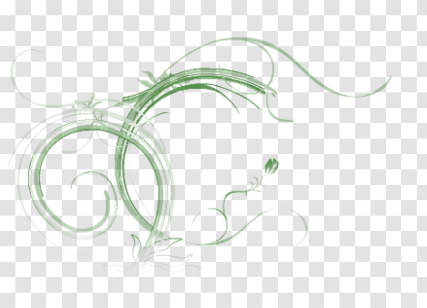 Drawing Leaf - Grass Transparent PNG
