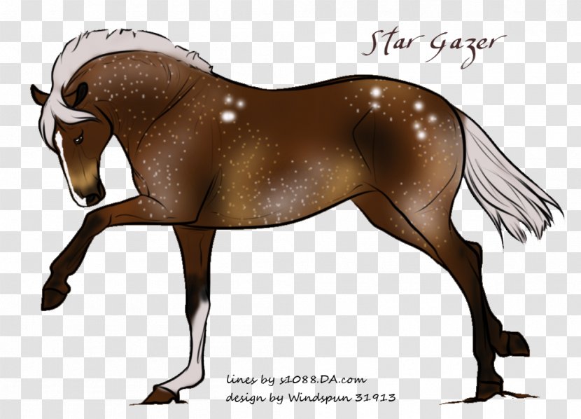 Mane Foal Pony Stallion Mare - Night Sky Stars Transparent PNG