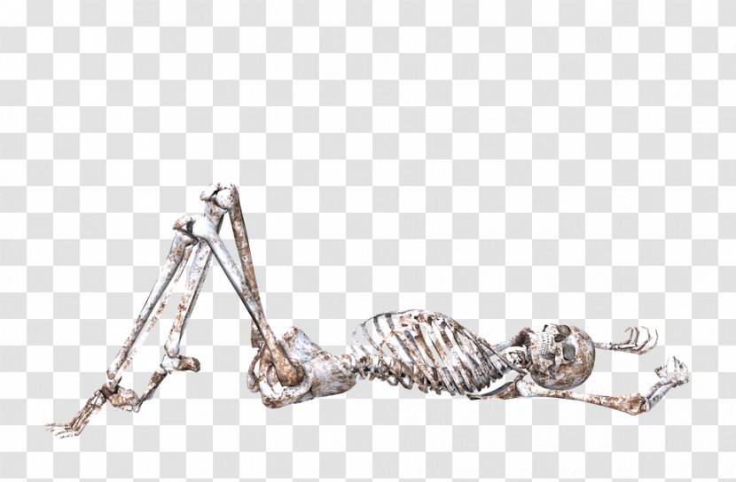 Skull Human Skeleton Bone Body - Lying Transparent PNG