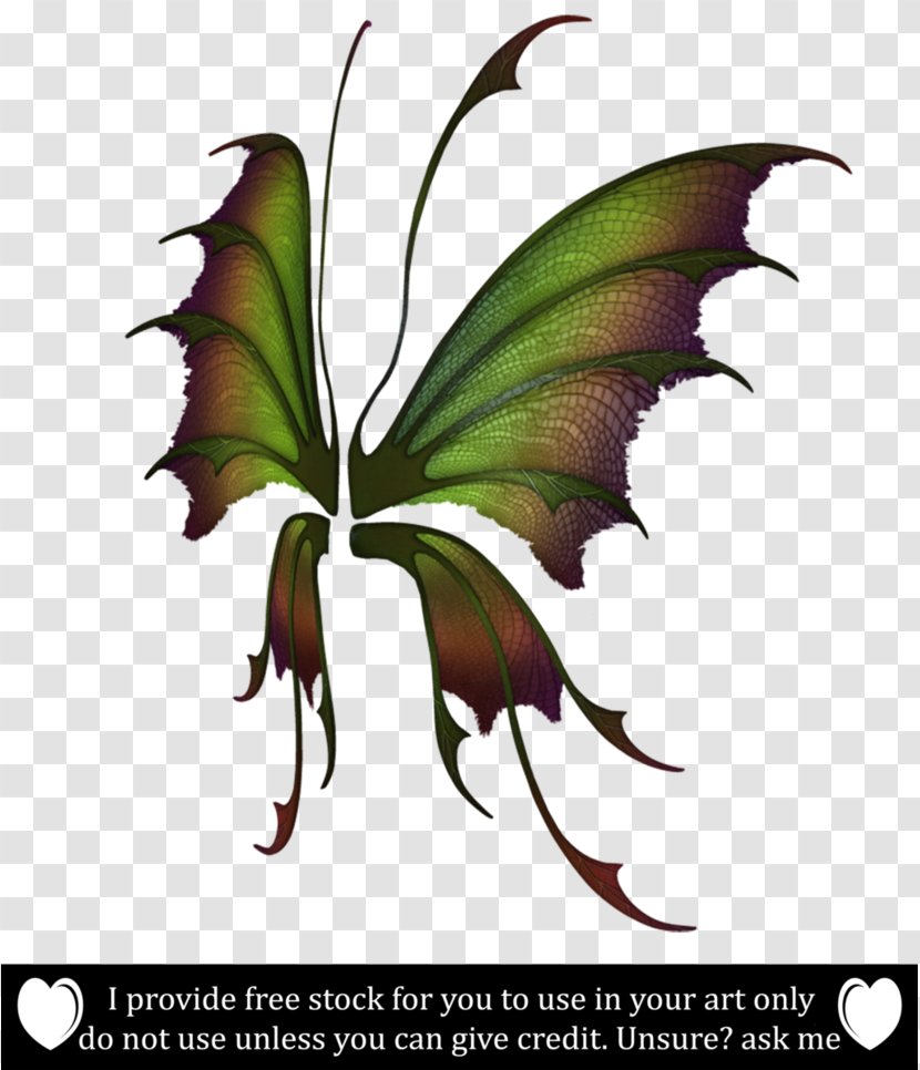 Butterfly Brush-footed Butterflies Graphics Illustration Giant Panda - Flower Transparent PNG