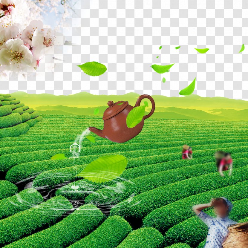 Tea Download Computer File - World Wide Web - Spring Morning Transparent PNG