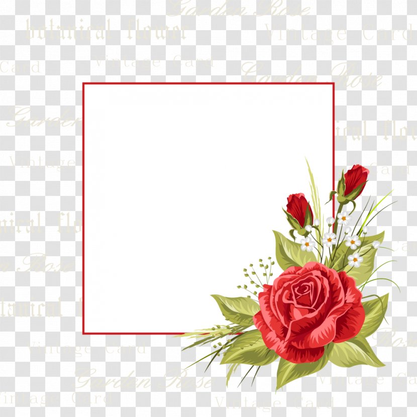 Flowers Invitations Vector - Royalty Free - Floral Design Transparent PNG