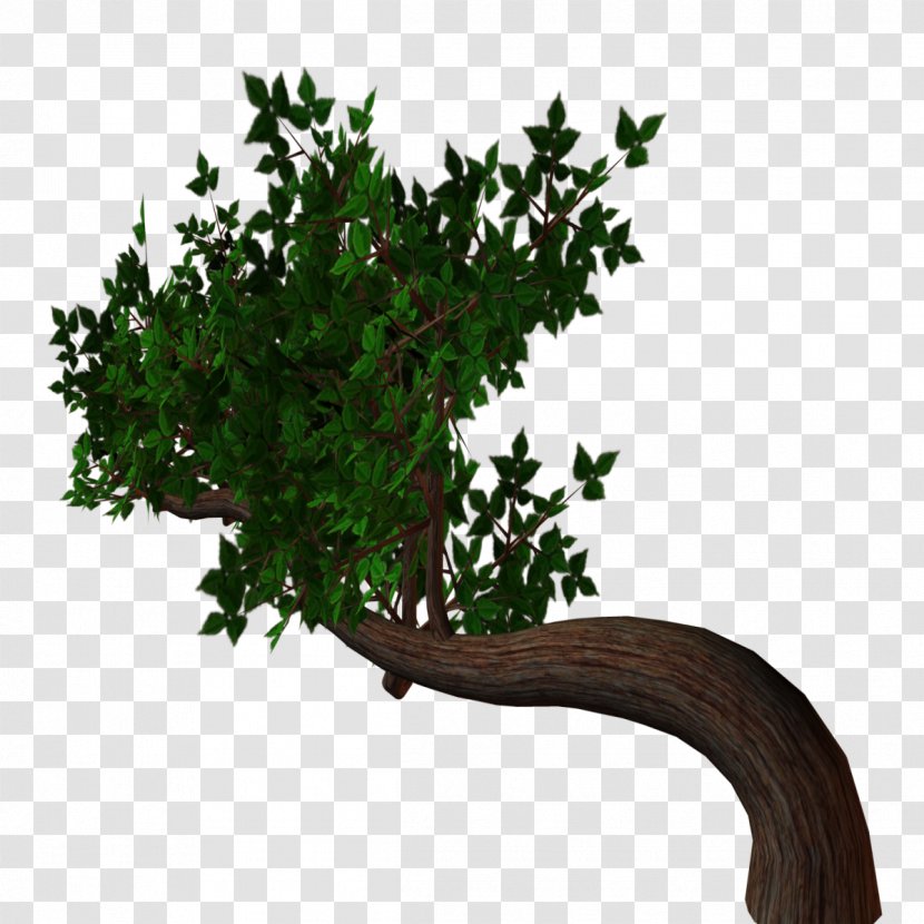 Tree Drawing Clip Art - Landscape Painting - Branch Transparent PNG