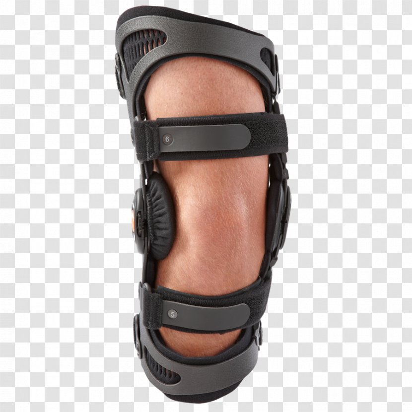 Knee Osteoarthritis Breg, Inc. Arthritis - Protective Gear In Sports - Donjoy Transparent PNG