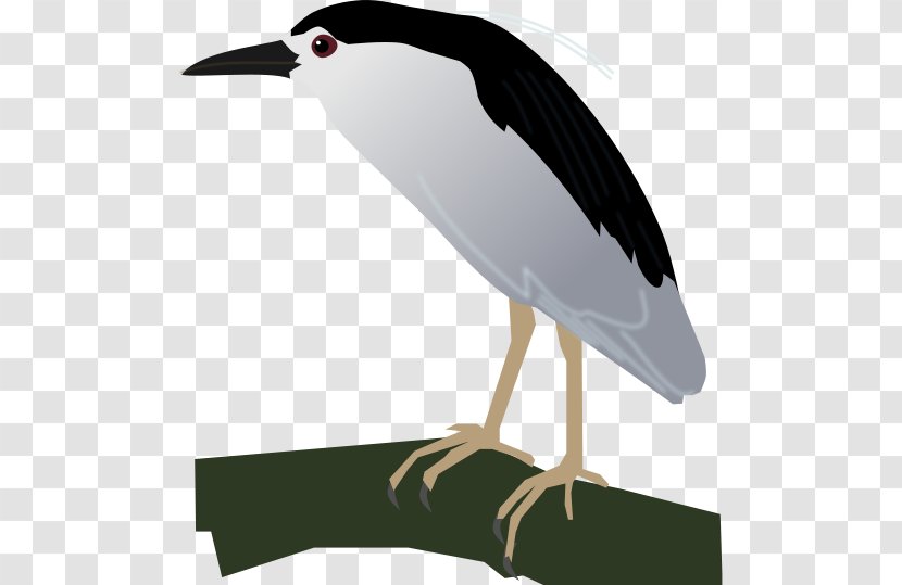 Stork Water Bird Crane Beak Transparent PNG