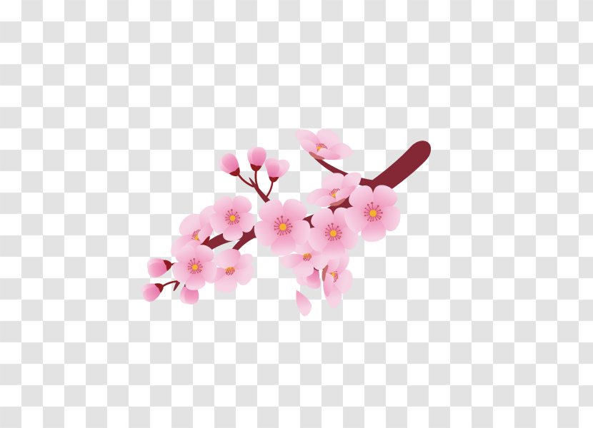 Cherry Blossom Flower Clip Art - Blossoms,Pattern,Light Pink Transparent PNG